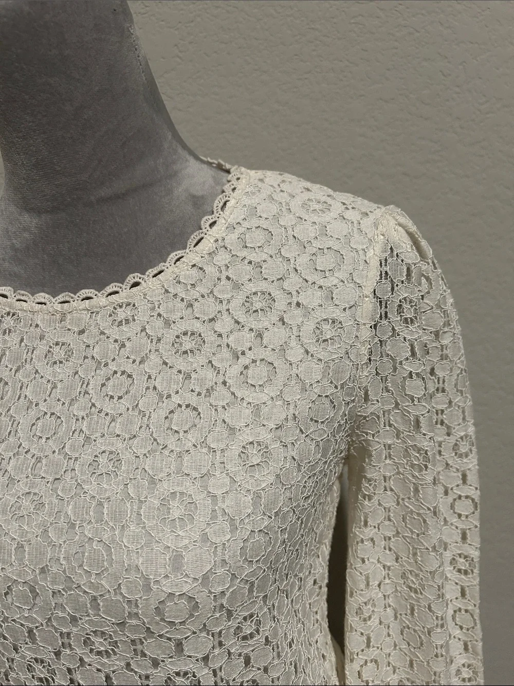 Banana Republic Cream Lace Long-Sleeve Top